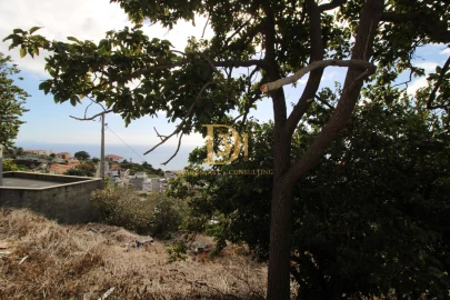 Moradia T3 para Venda em Caniço