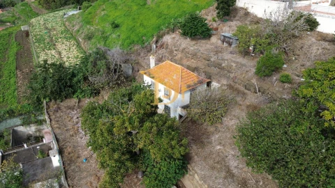 Moradia T3 para Venda em Caniço