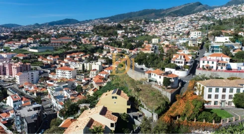 Apartamento T1 para Venda em Funchal (Santa Luzia)