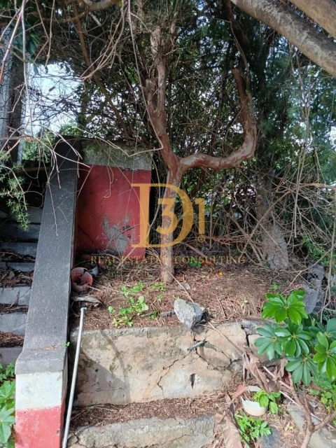 Terreno para Venda em Santa Cruz