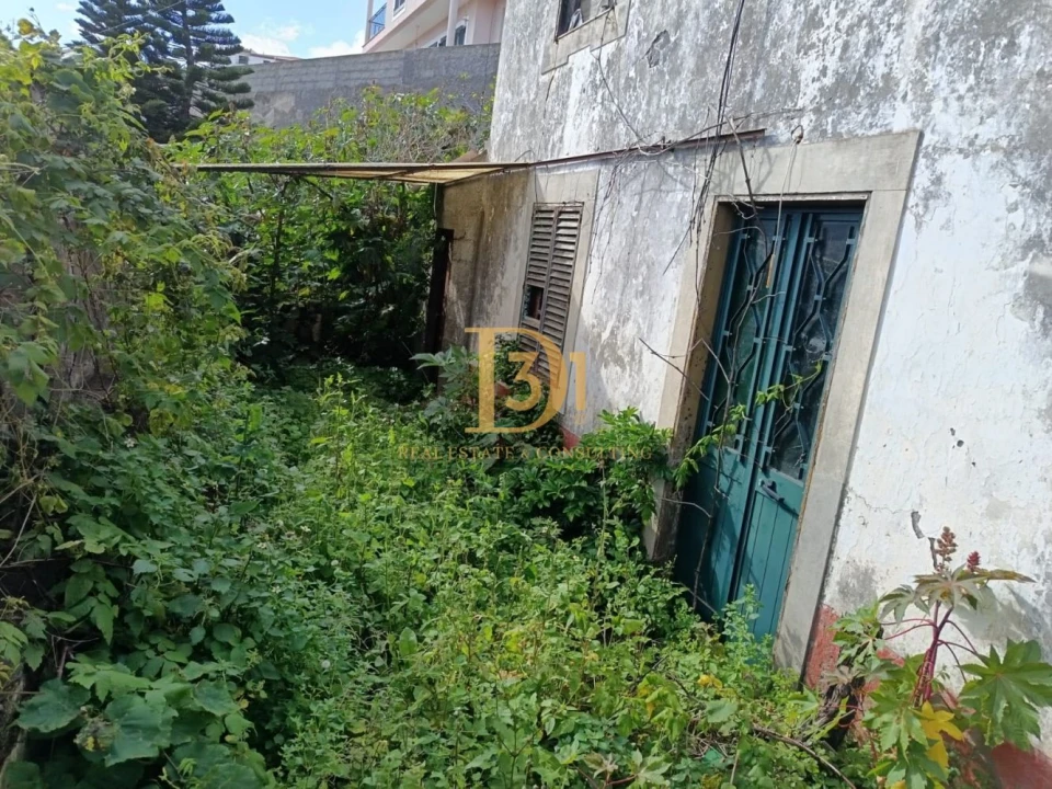 Terreno para Venda em Santa Cruz Foto 14