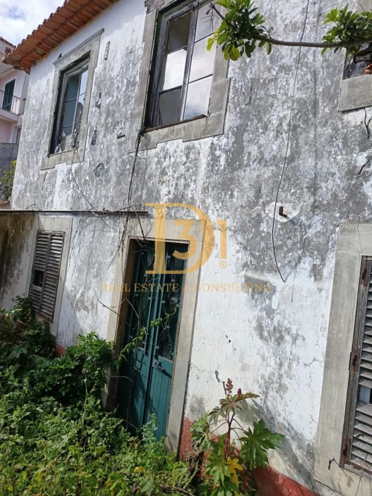 Terreno para Venda em Santa Cruz Foto 12