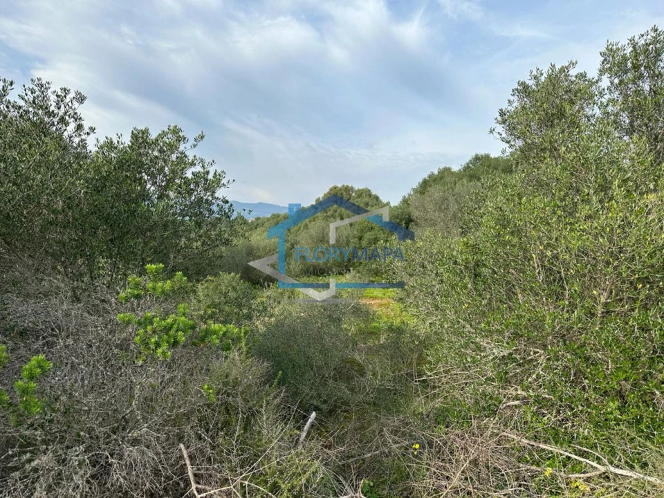 Terreno para Venda em Alcabideche Foto 10