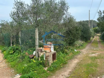Terreno para Venda em Alcabideche