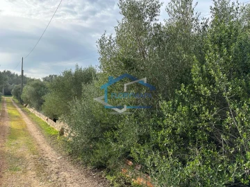 Terreno para Venda em Alcabideche