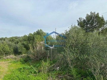 Terreno para Venda em Alcabideche