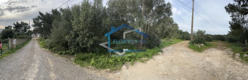 Terreno para Venda em Alcabideche