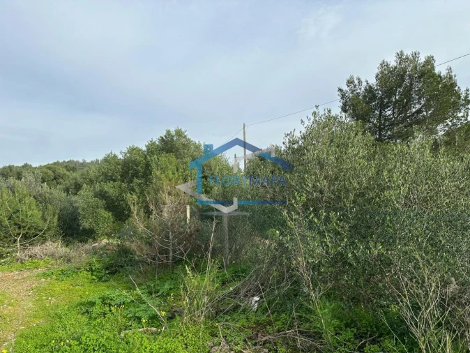 Terreno para Venda em Alcabideche Foto 11