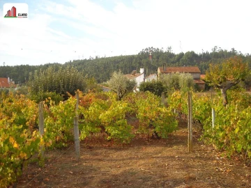 Moradia T3 para Venda em Podentes