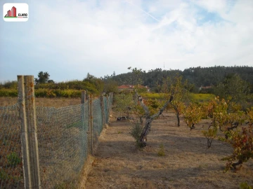 Moradia T3 para Venda em Podentes