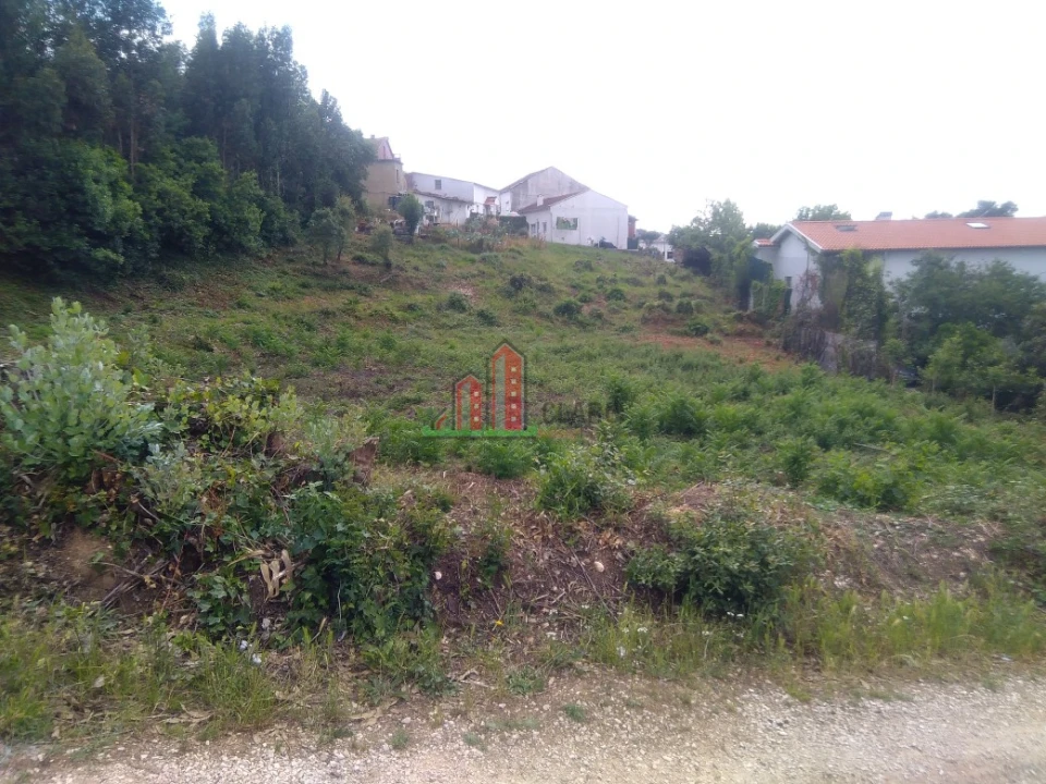 Terreno para Venda em São Martinho do Bispo e Ribeira de Frades Foto 6