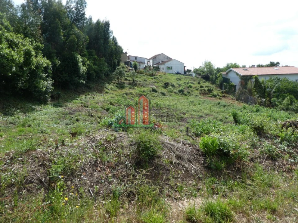 Terreno para Venda em São Martinho do Bispo e Ribeira de Frades Foto 1