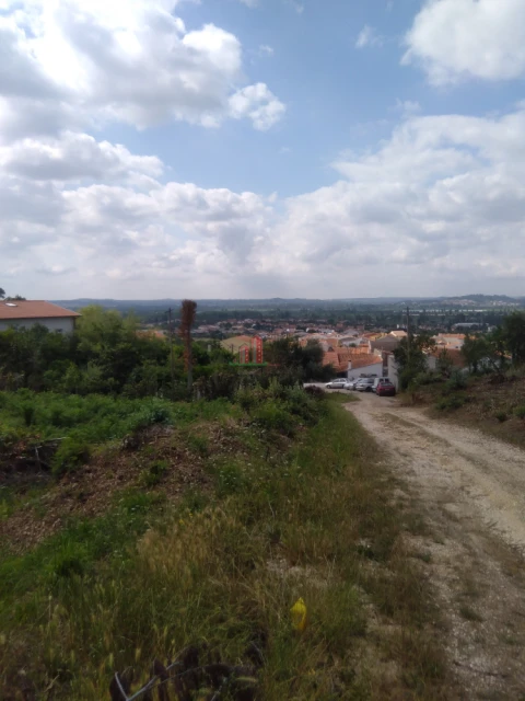 Terreno para Venda em São Martinho do Bispo e Ribeira de Frades