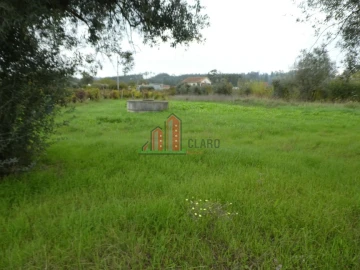 Terreno para Venda em Soure