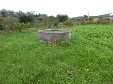 Terreno para Venda em Soure