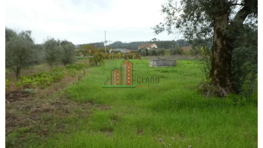 Terreno para Venda em Soure