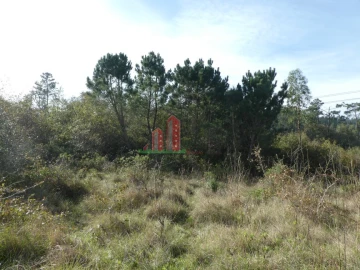 Terreno para Venda em Maiorca
