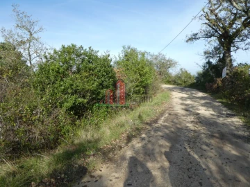 Terreno para Venda em Maiorca