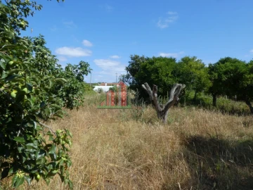 Moradia T3 para Venda em Carapinheira