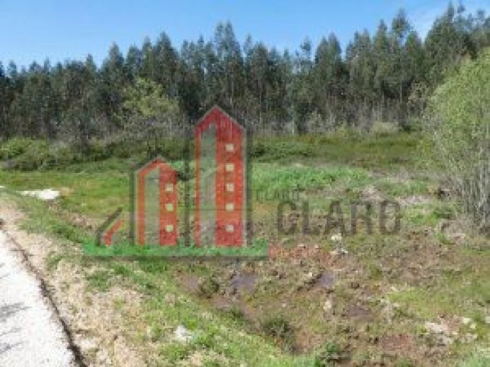 Terreno para Venda em Buarcos Foto 2