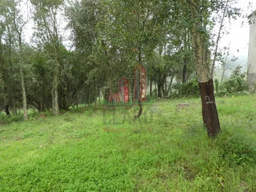 Terreno para Venda em Ansião