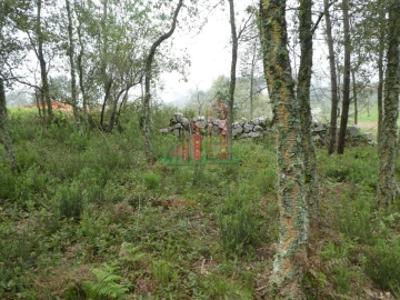 Terreno para Venda em Ansião