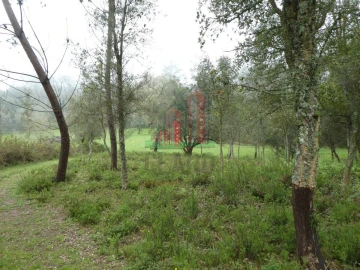 Terreno para Venda em Ansião