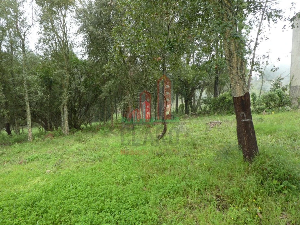 Terreno para Venda em Ansião Foto 4