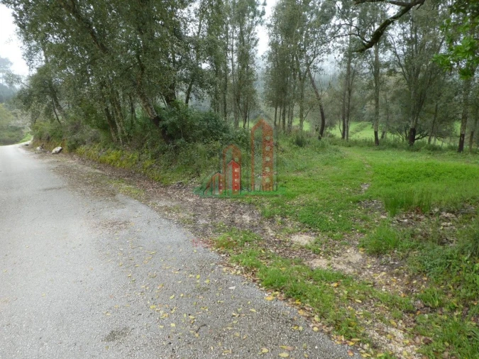 Terreno para Venda em Ansião Foto 2