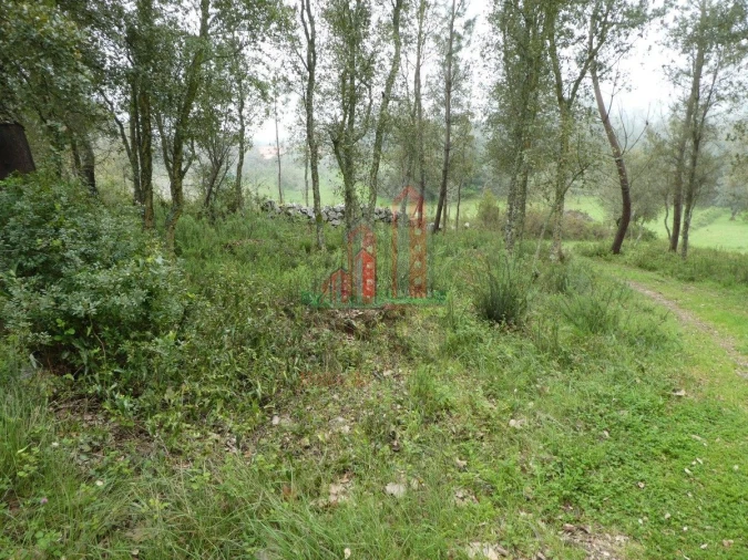 Terreno para Venda em Ansião Foto 5
