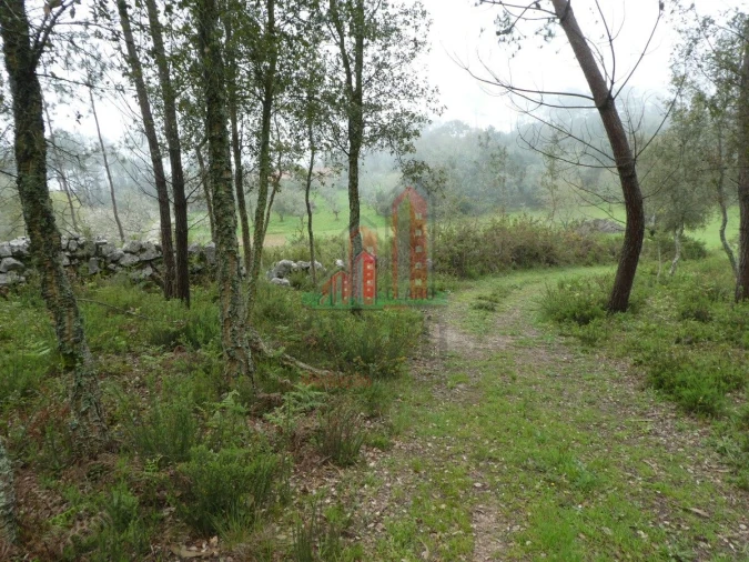 Terreno para Venda em Ansião Foto 7