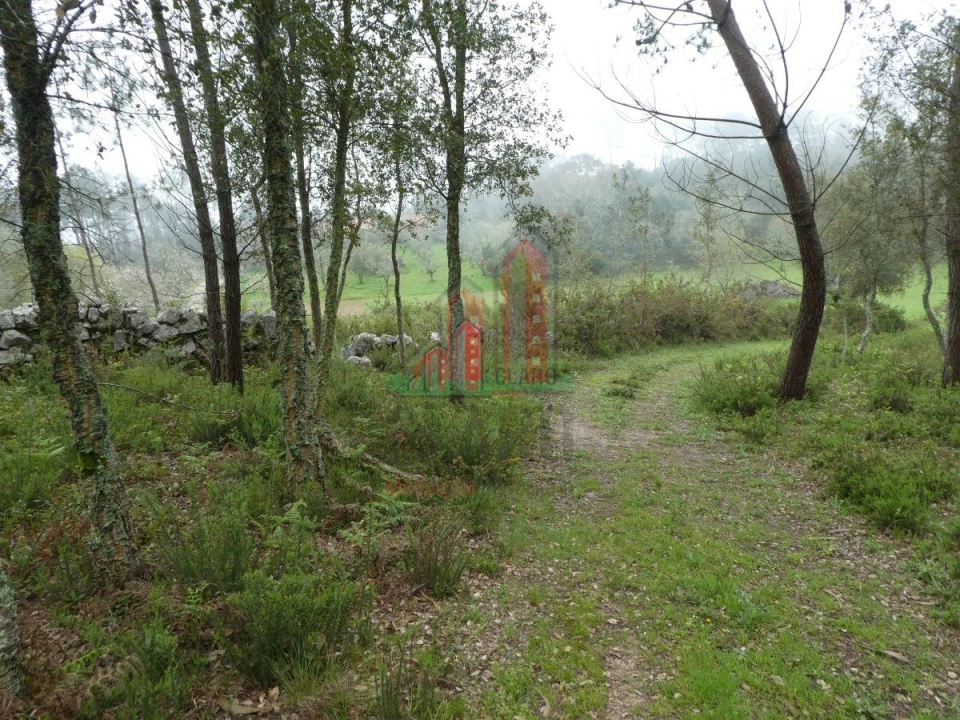 Terreno para Venda em Ansião Foto 7