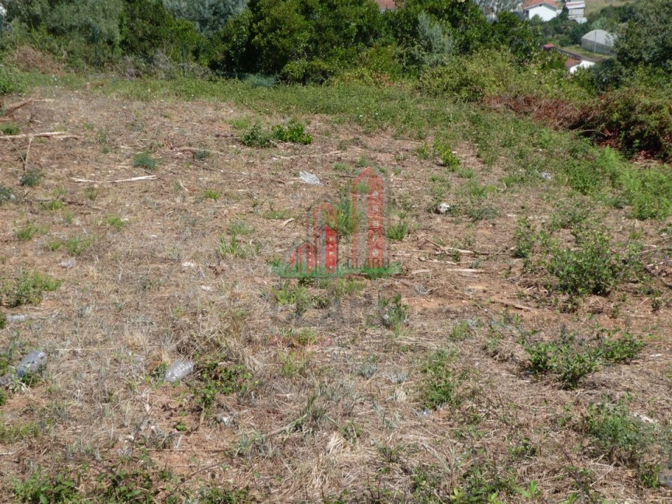 Terreno para Venda em Ceira Foto 4