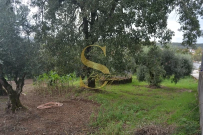 Moradia T5 para Venda em Chão de Couce