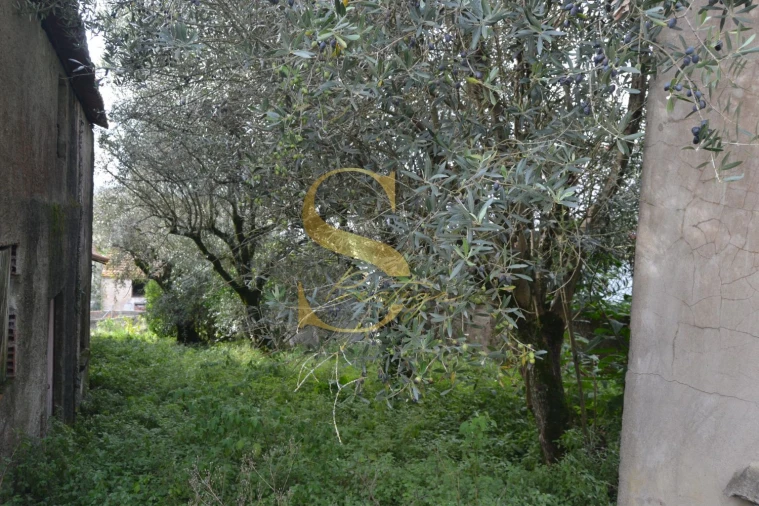 Moradia T5 para Venda em Chão de Couce Foto 18