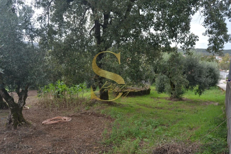 Moradia T5 para Venda em Chão de Couce Foto 11