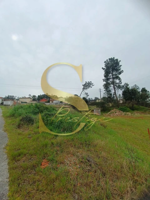 Terreno para Venda em Amor