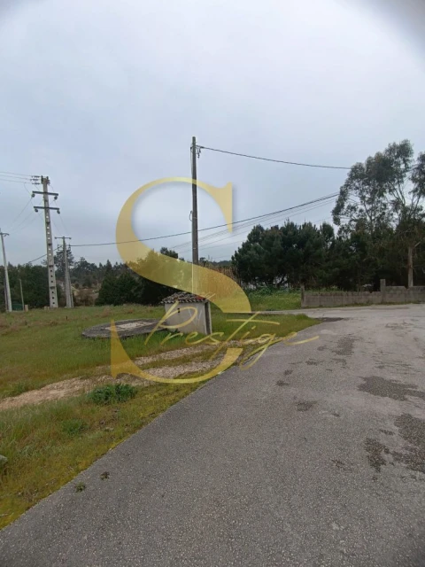 Terreno para Venda em Amor
