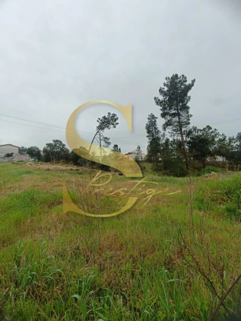 Terreno para Venda em Amor