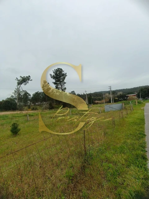 Terreno para Venda em Amor