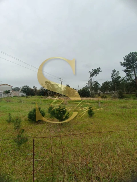Terreno para Venda em Amor