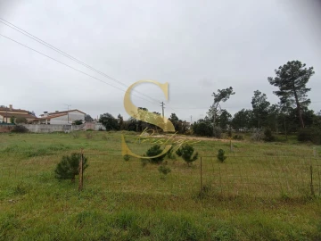 Terreno para Venda em Amor