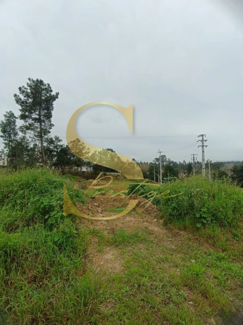 Terreno para Venda em Amor