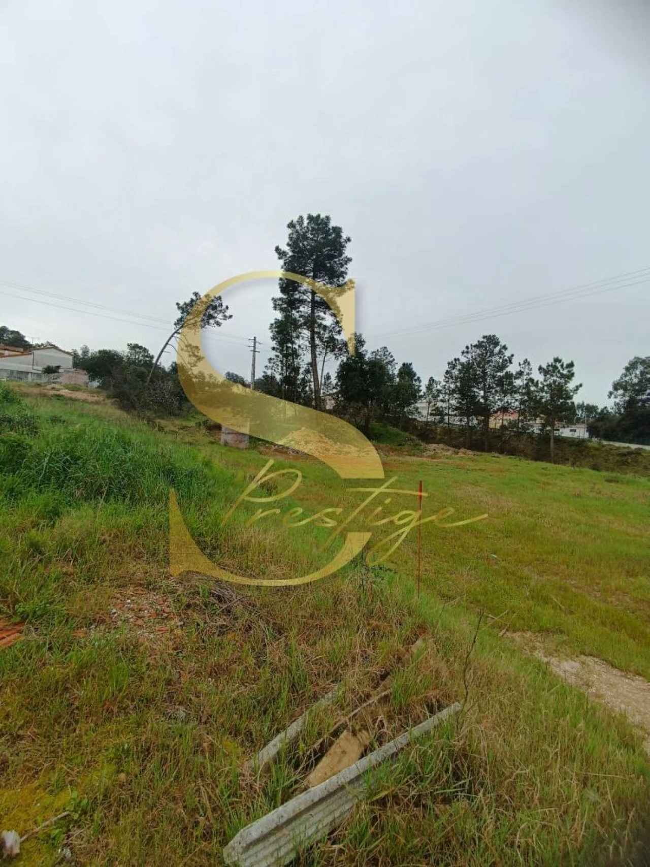 Terreno para Venda em Amor Foto 5