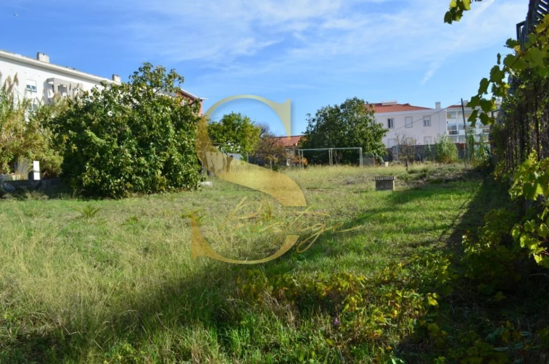 Terreno para Venda em Ajuda Foto 1
