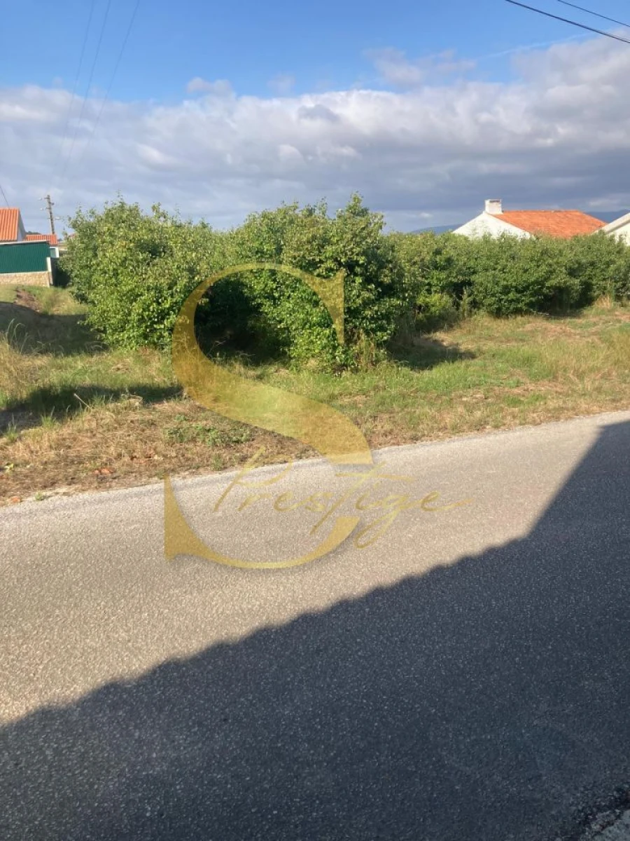 Terreno para Venda em Cela Foto 6