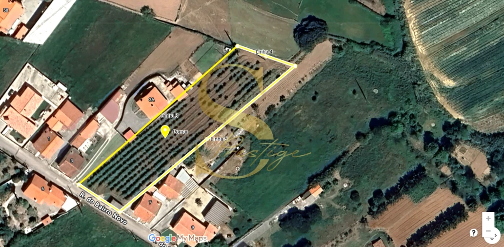 Terreno para Venda em Cela Foto 2