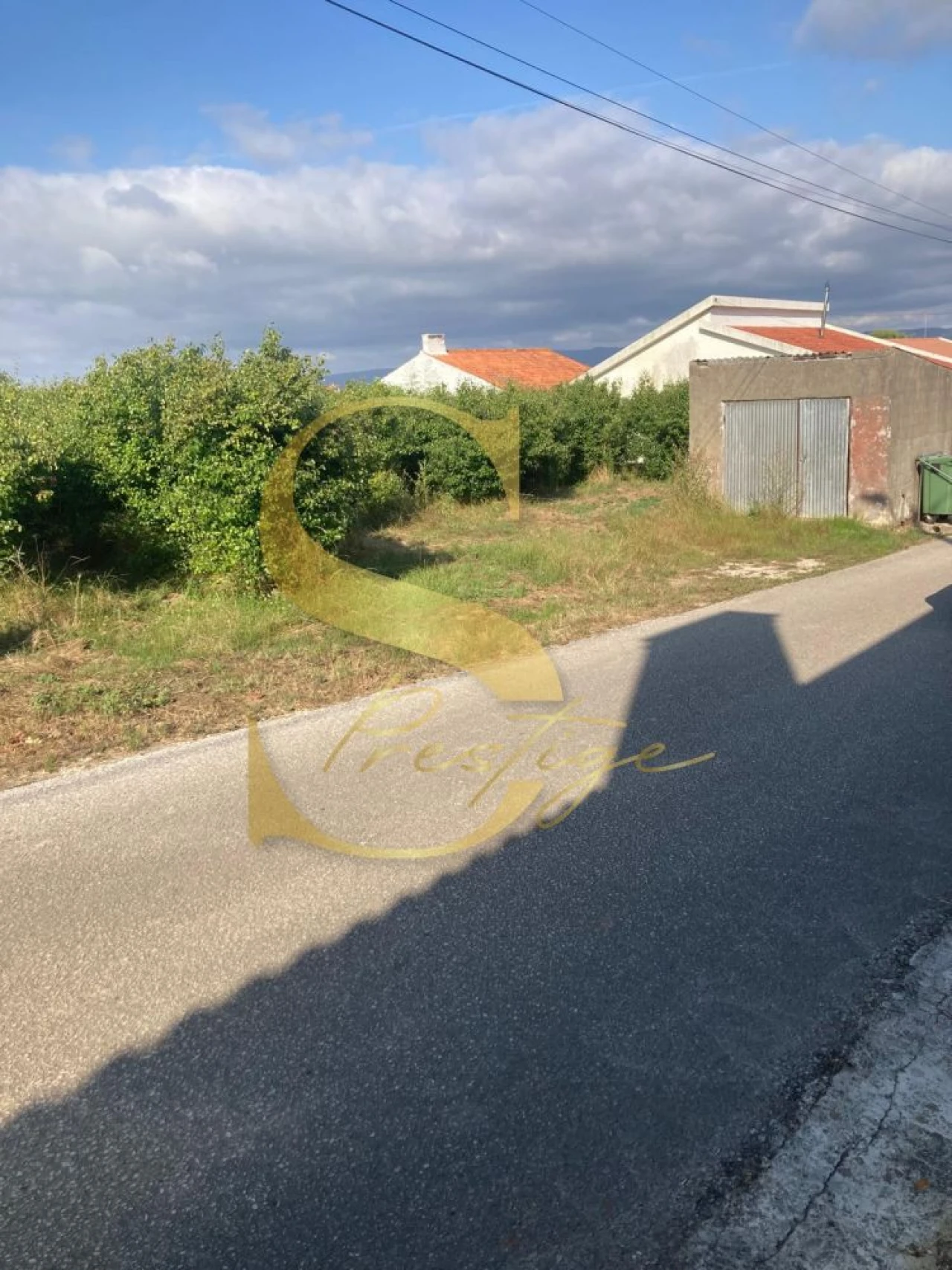 Terreno para Venda em Cela Foto 3