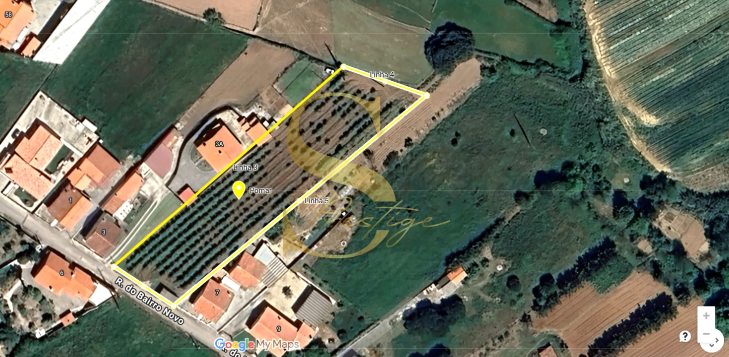 Terreno para Venda em Cela Foto 2