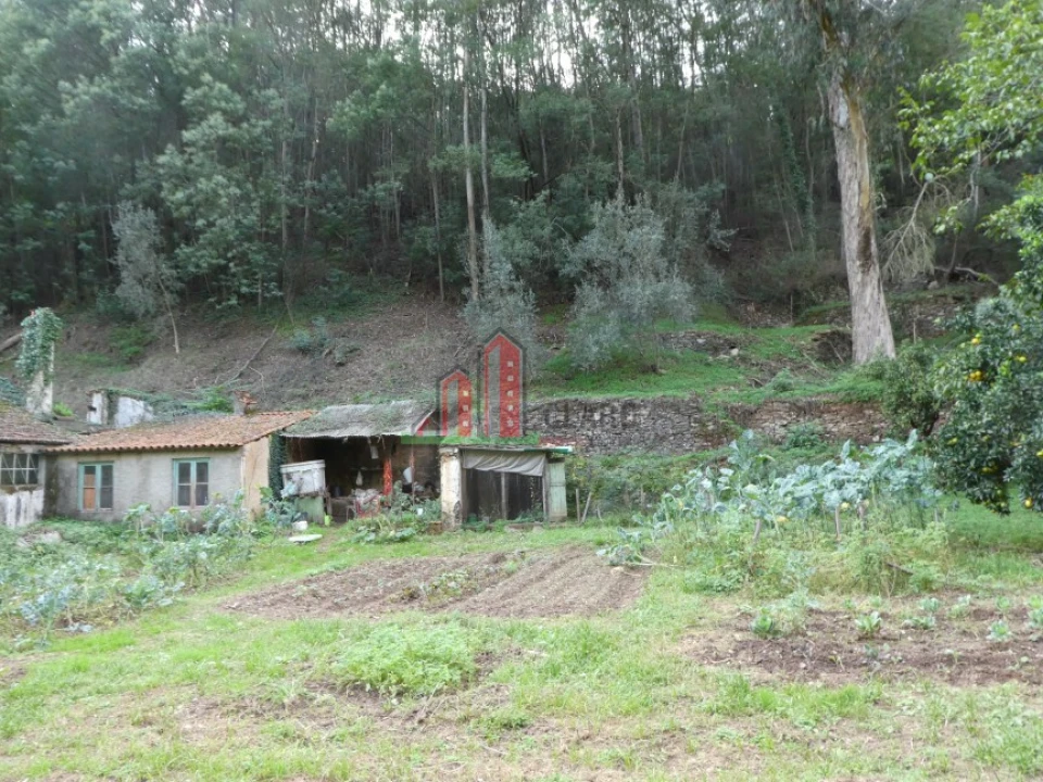 Quinta T0 para Venda em Torres do Mondego Foto 4